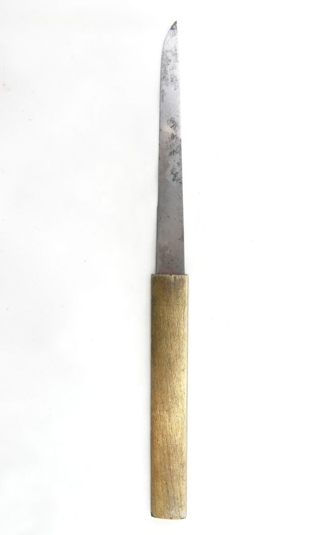Null 日本

小冢刀，部分镀金的金属手柄，装饰着风景中的骑士。刻有铭文和脸谱的金属刀片

L. : 19,8 cm. 7,8 in.



磨损、划痕、一些&hellip;