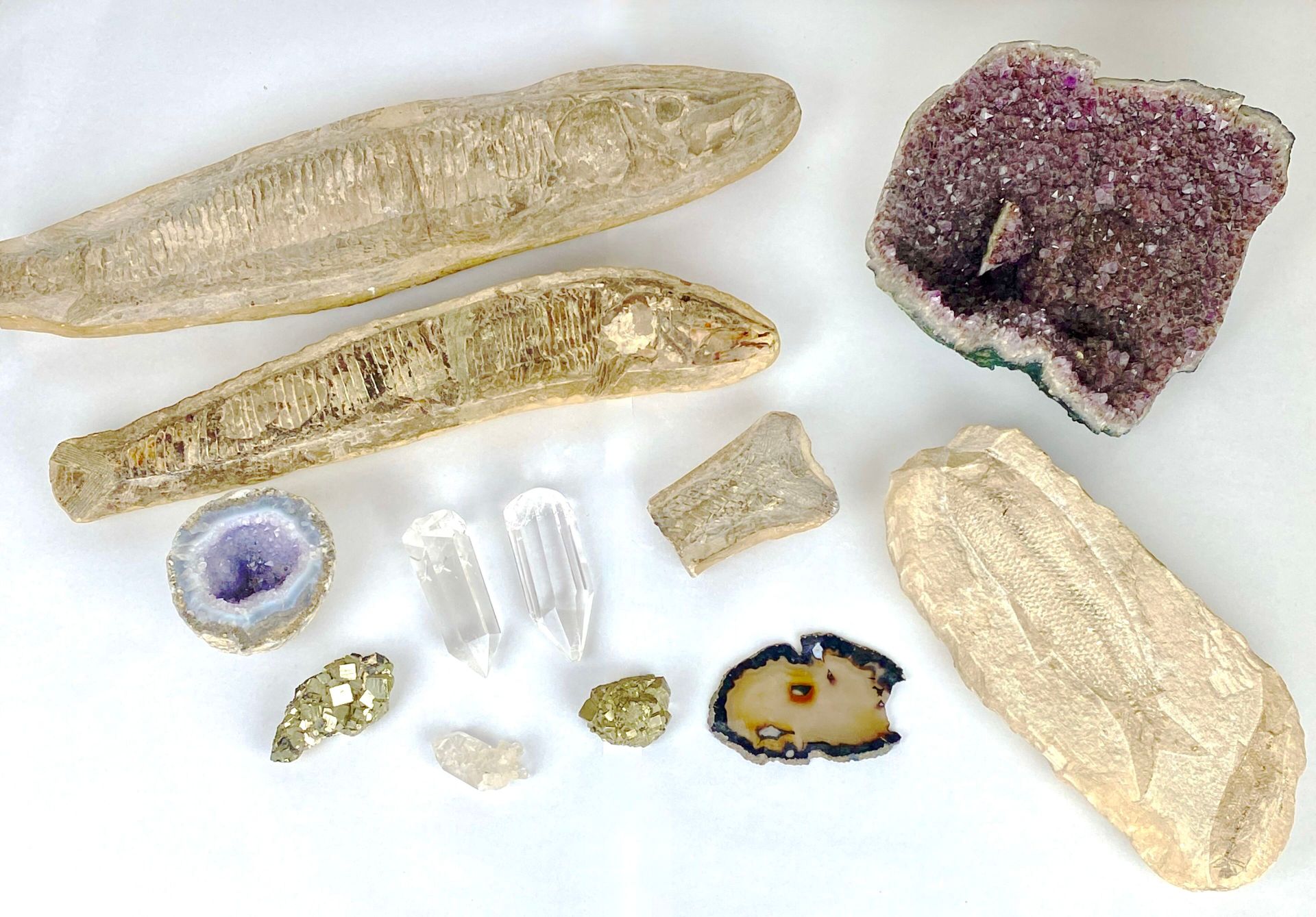 Null 矿物和化石 
一批矿物，包括紫晶块和水晶、黄铁矿、玛瑙切片、鱼化石 
紫水晶晶体长：22 厘米。 
最大的鱼化石长：50 厘米。 

一块化石受损