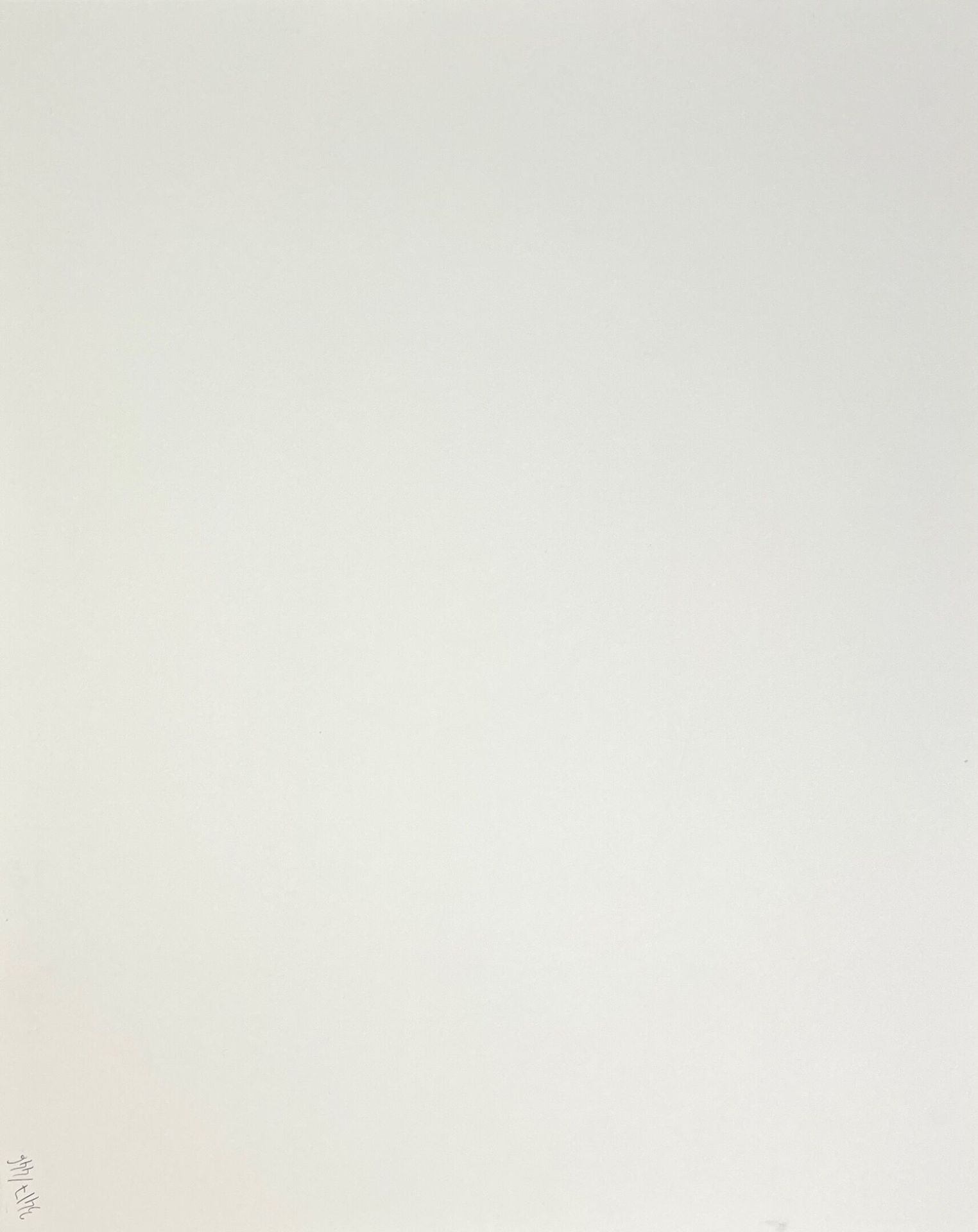 Null 吕西安-克莱尔格（1934-2014），归功于 
马德琳-洛克波特，裸女卧姿（草地、蕨类植物）
垫子下的锡伯铬印刷品
约 1980 年 
背面黑色墨水&hellip;