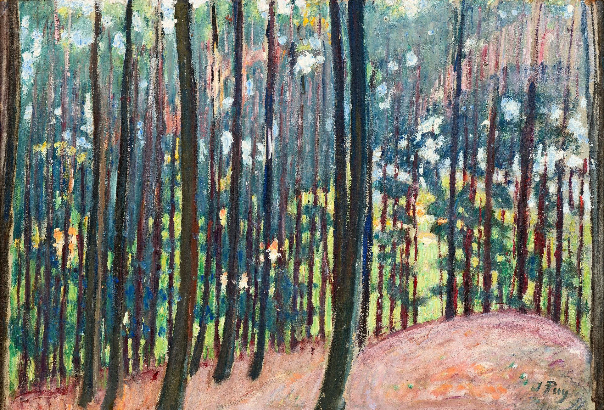 Null Jean PUY (1876-1960)

Unter Wald. 1925

Öl auf Leinwand

Signiert in der un&hellip;