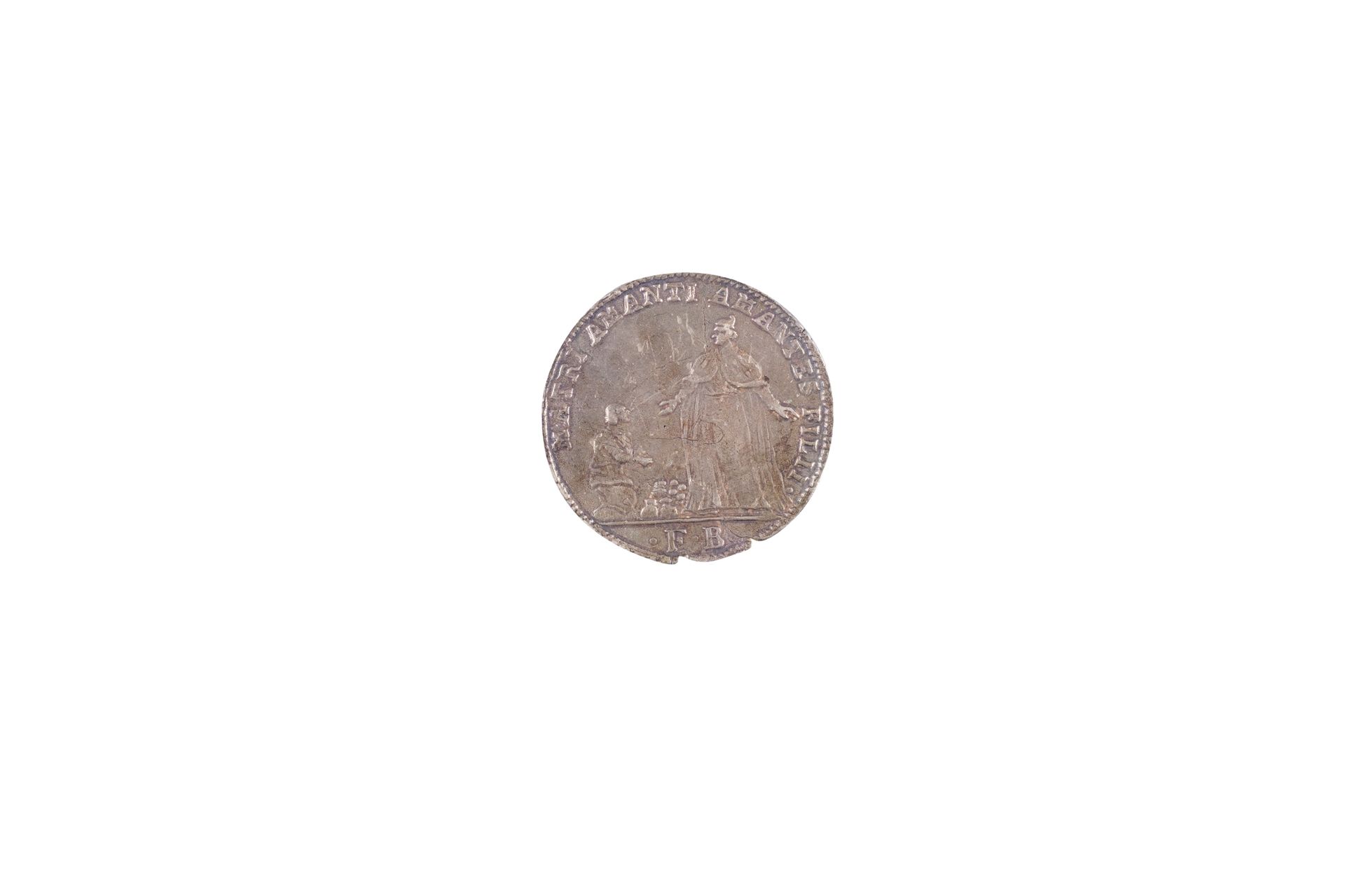 Null Ludovico Manin 1789-1797 Oselle 1796年八号银币，8,79克。保鲁奇 279。

扇面略有破损，否则为TTB