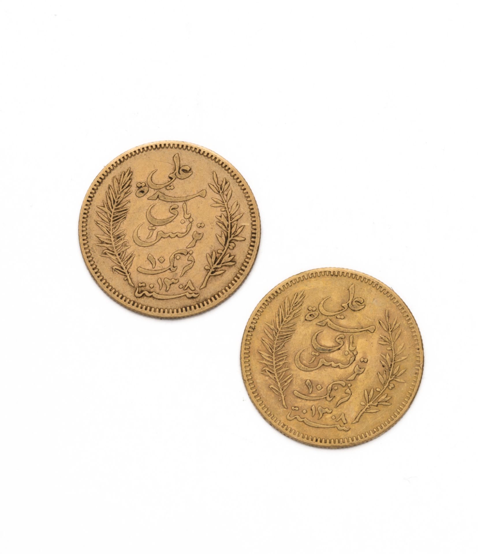 Null TUNISIA - Protettorato francese
10 franchi oro. 2 pezzi. 1891 A
Peso: 6,38 &hellip;