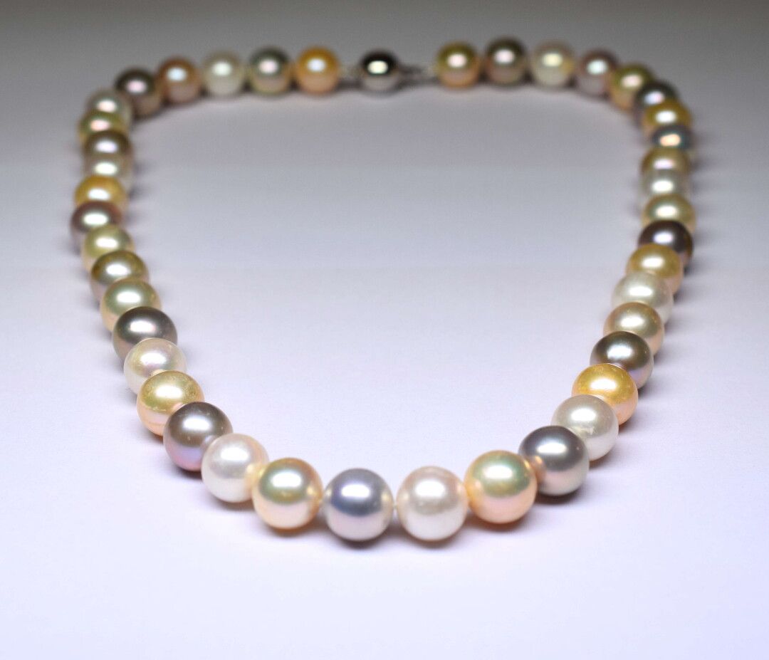 Null 重要的天然养殖珍珠项链，直径为12-12.5毫米，有天然的多色淡紫色，白色和鲑鱼色，具有非常愉快的光泽。金色搭扣
