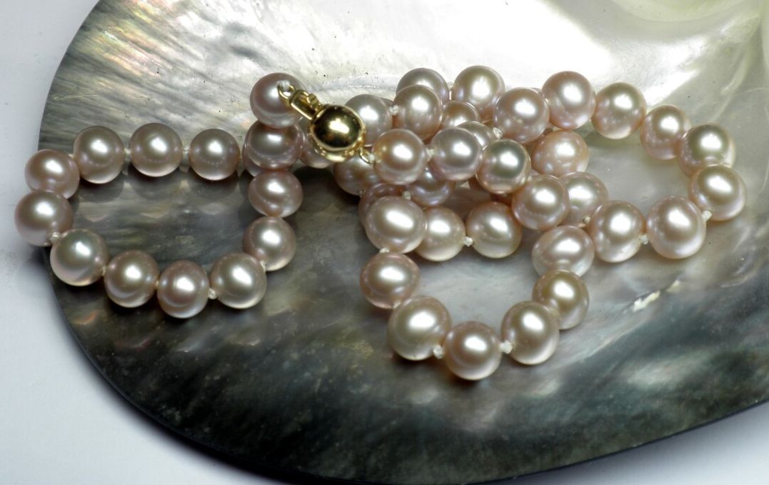 Null 重要的项链，由直径为10.5 - 11毫米的养殖珍珠制成，非常漂亮的光泽，黄金安全扣

重量：1,70克