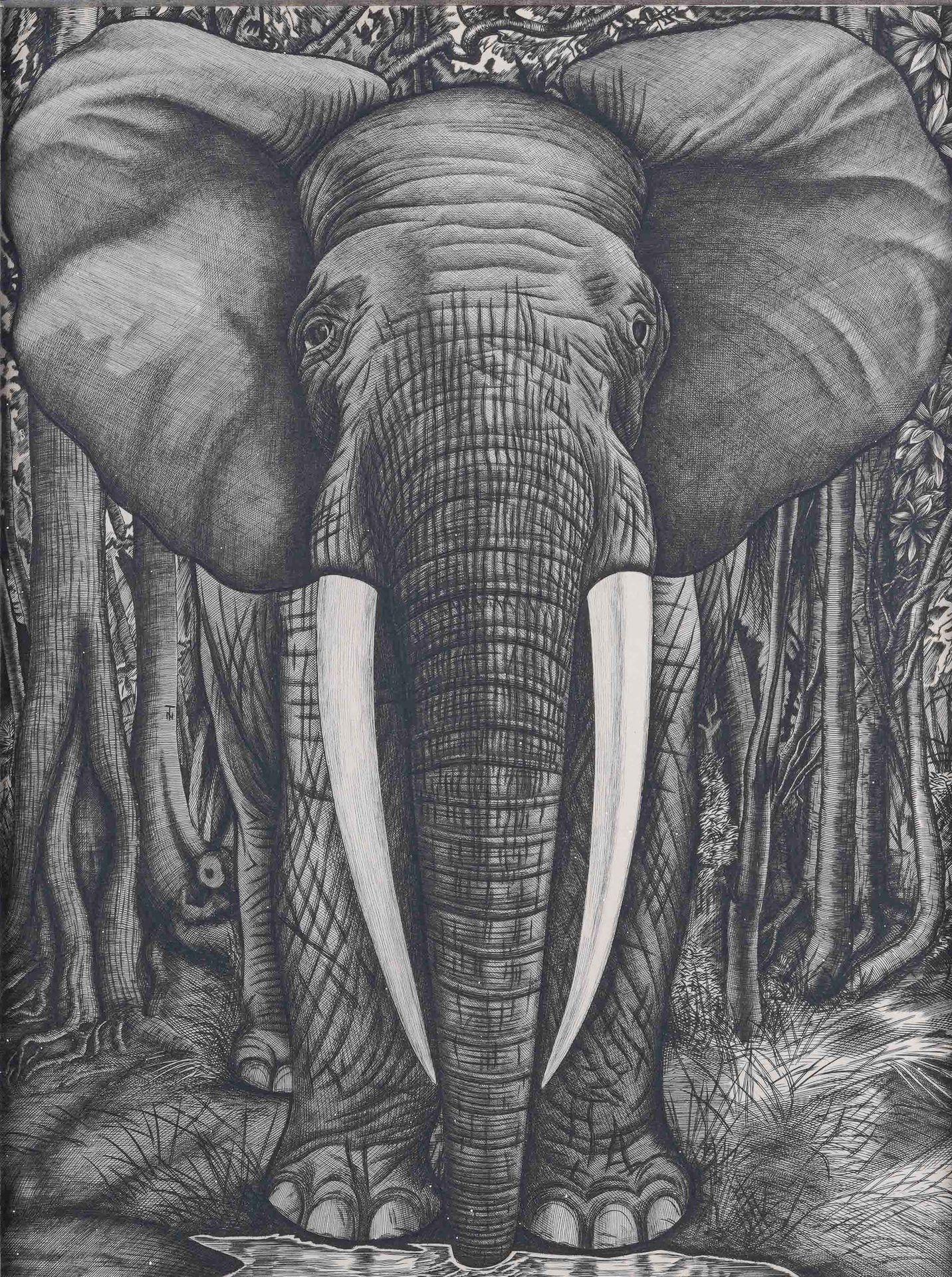 Jean Baptiste TAVY NOTTON (1914-1977) Eléphant dans la jungle. Taille douce. Mon&hellip;