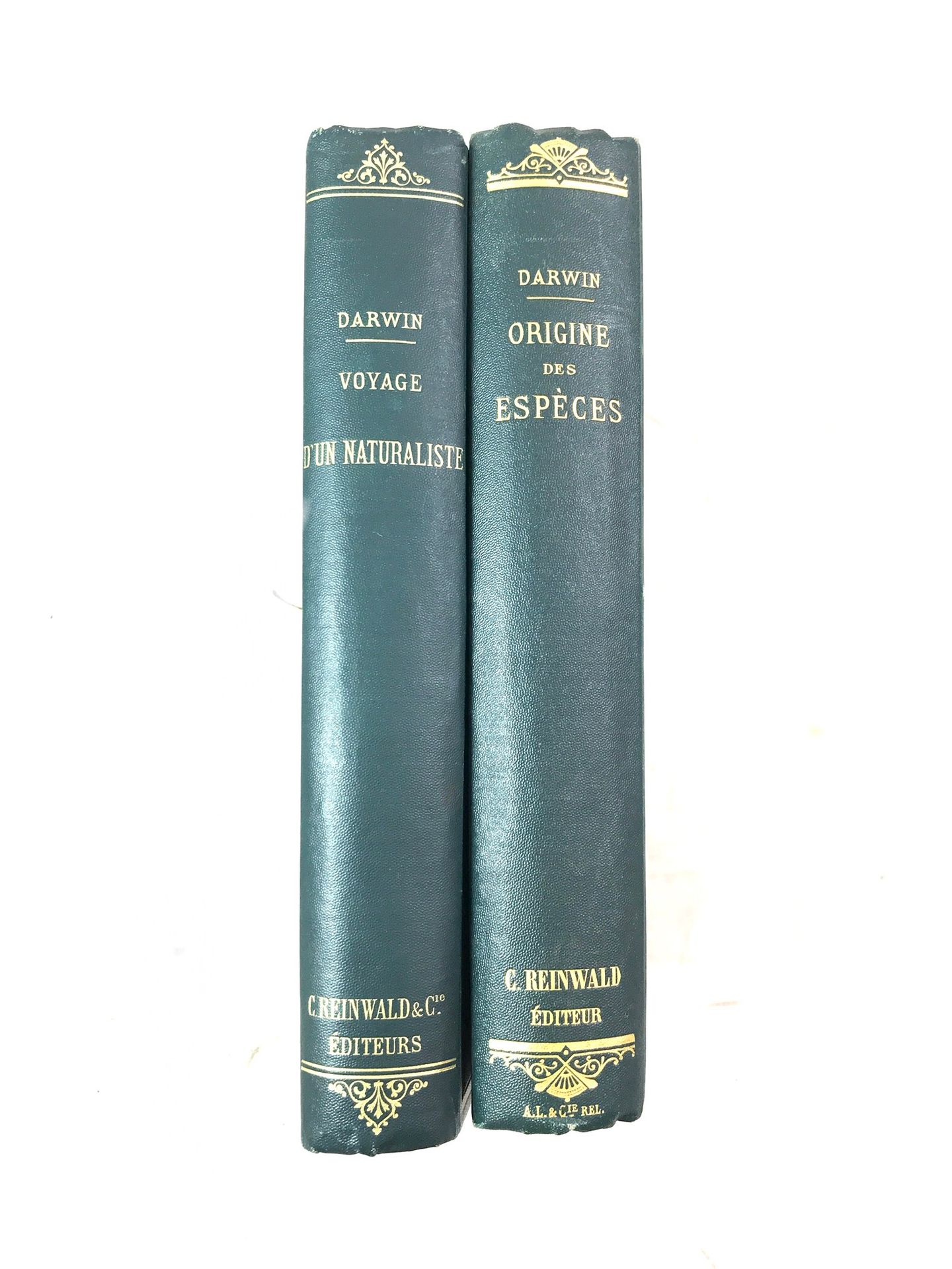 Null DARWIN Charles (1809 - 1882) - Ursprung der Arten und Reise eines Naturfors&hellip;