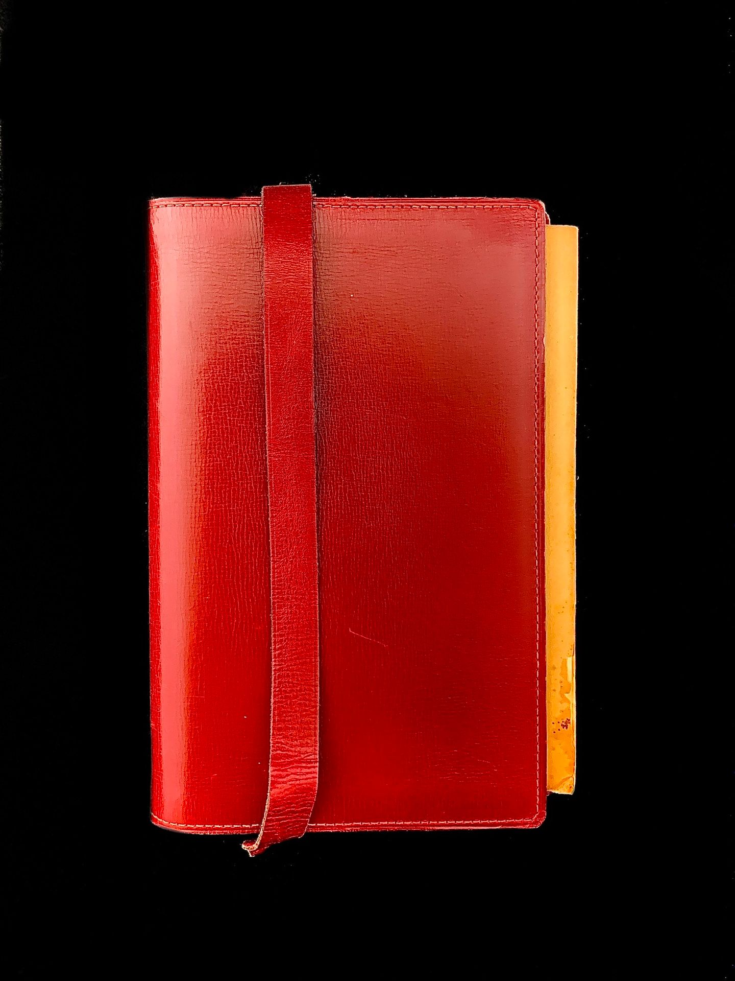 Null 莫里斯-巴雷斯，《贝勒尼斯花园》，巴黎，乔治-克雷斯等公司，1912年，平装本，酒红色皮革书皮。