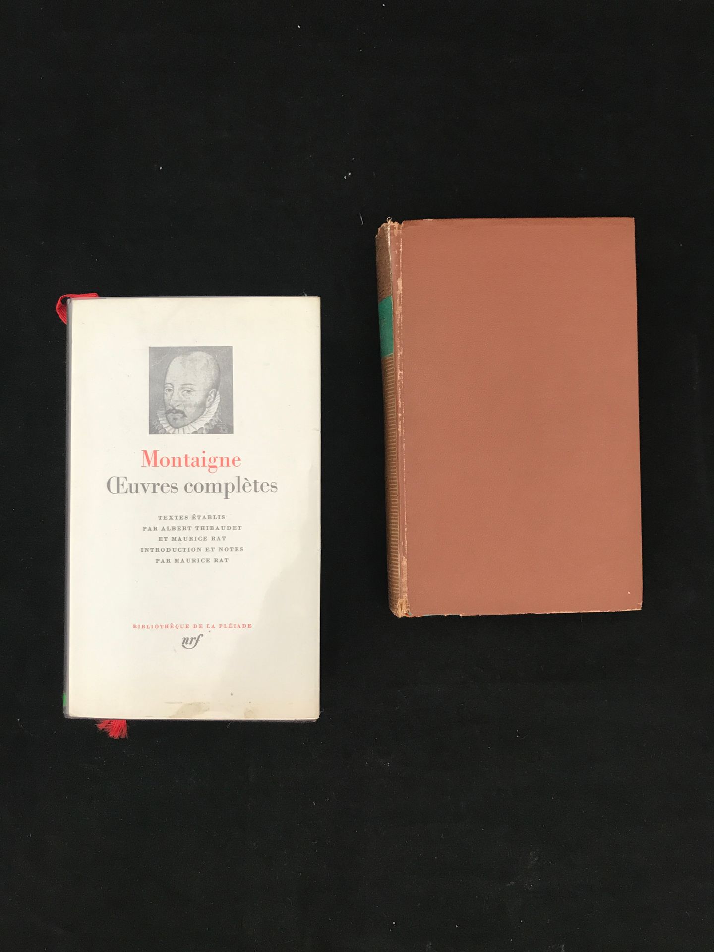 Null La Pléiade》，一套两册，包括。

- 蒙泰尼，"作品集"（缺封皮）。

- André GIDE, "Journal