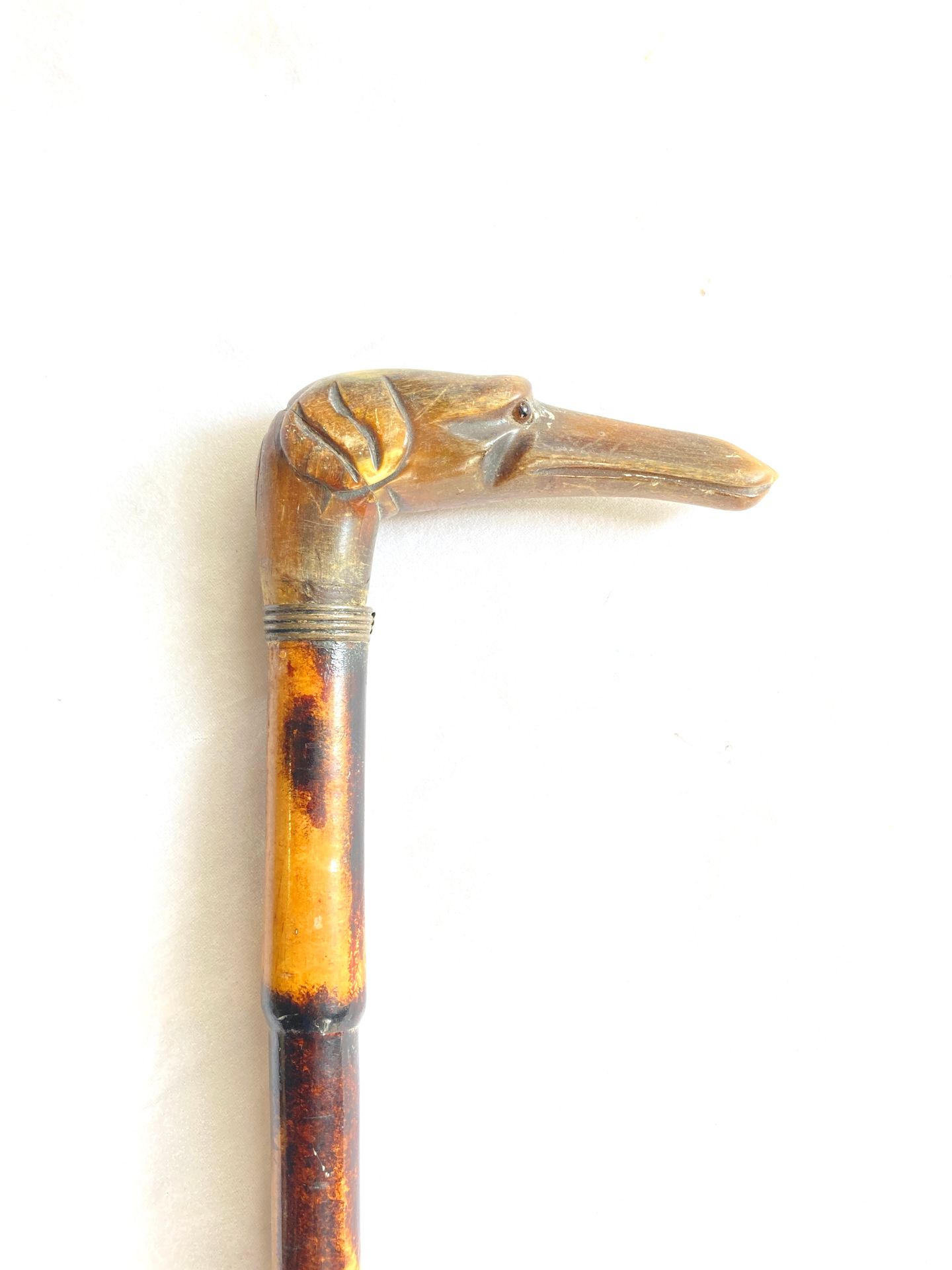 Null 染色和清漆的竹制手杖，牛角鞍座上雕刻着一个带鸭嘴的狗头，眼睛连着。后面有橡胶卡套。总长度：81.5厘米。