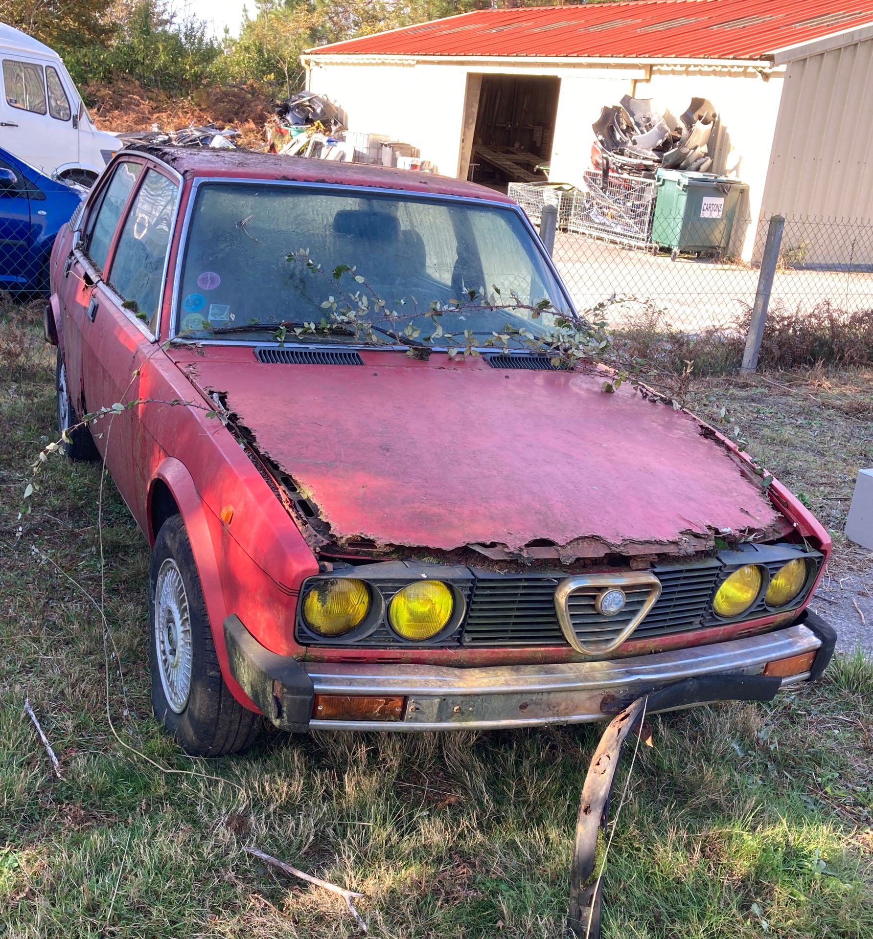 Null 
ALFA ROMEO ALFETTA 2 Liters. Red. Complete wreck for parts with engine. Or&hellip;