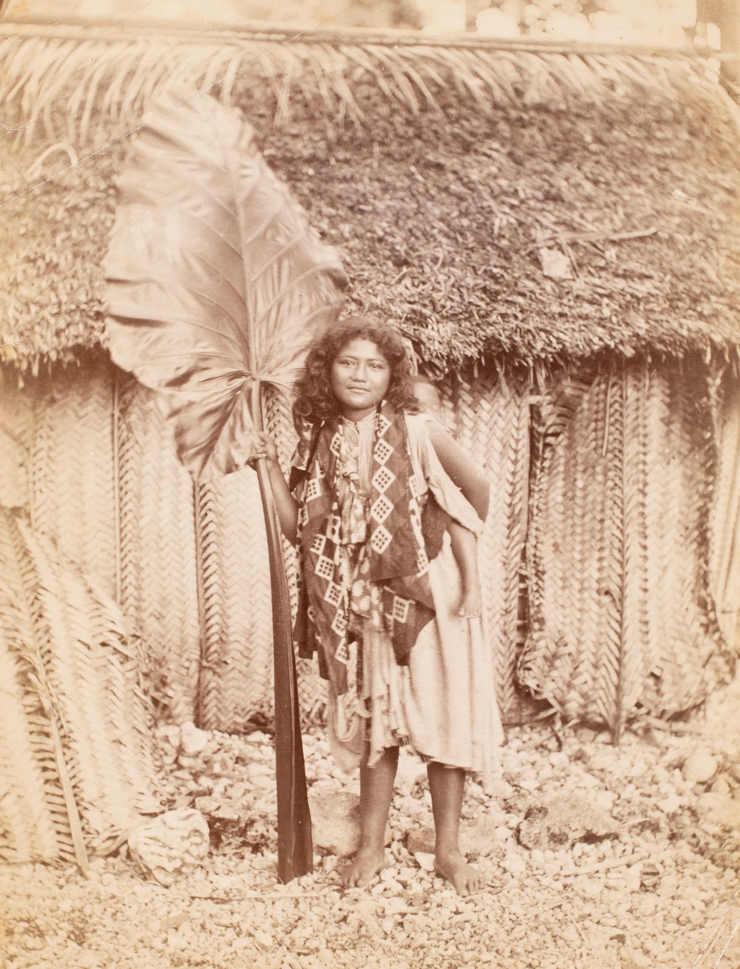 Null Photographe non identifié. Femme de l’île de Niue. Épreuve albuminée, c. 18&hellip;