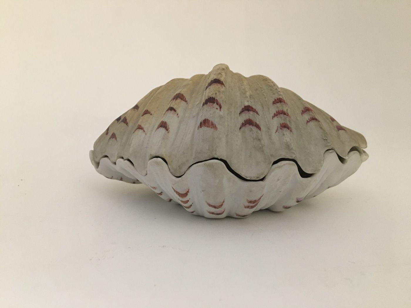 Null OGGETTO. Sistema a conchiglia, 12 x 7 x 6 cm.