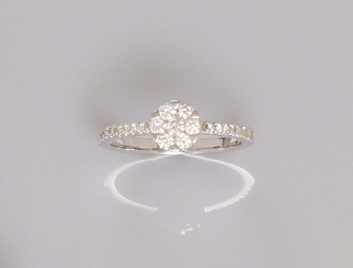 Null 白金戒指，750毫米，中心为两行钻石之间的钻石花，尺寸：53，重量：2.5克毛重。