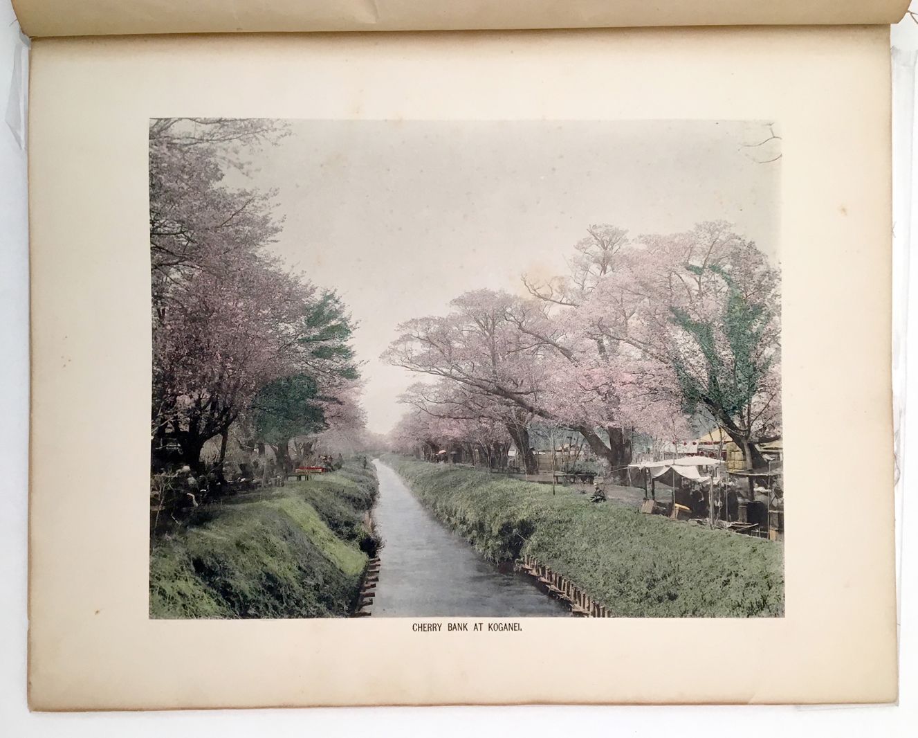 Null JAPON. Album in-folio contenant 10 impressions réhaussées en couleur.