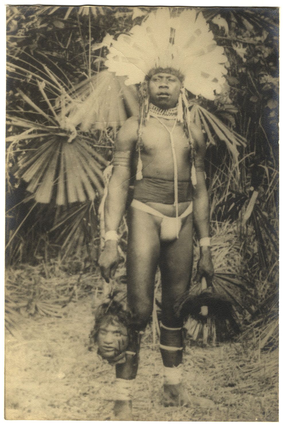 Null 瓜达尔卡纳尔[不明摄影师]：食人族肖像，1939 年。银底片，33.5 x 22.5 厘米。用胶纸装裱在卡片上。背面有注释。