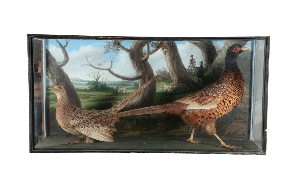 Null 蜡像画 两只野鸡呈对立姿势，站在绘画背景下，猎人和猎狗在一片开阔的风景中，署名P.Jones，装在一个上釉的盒子里。