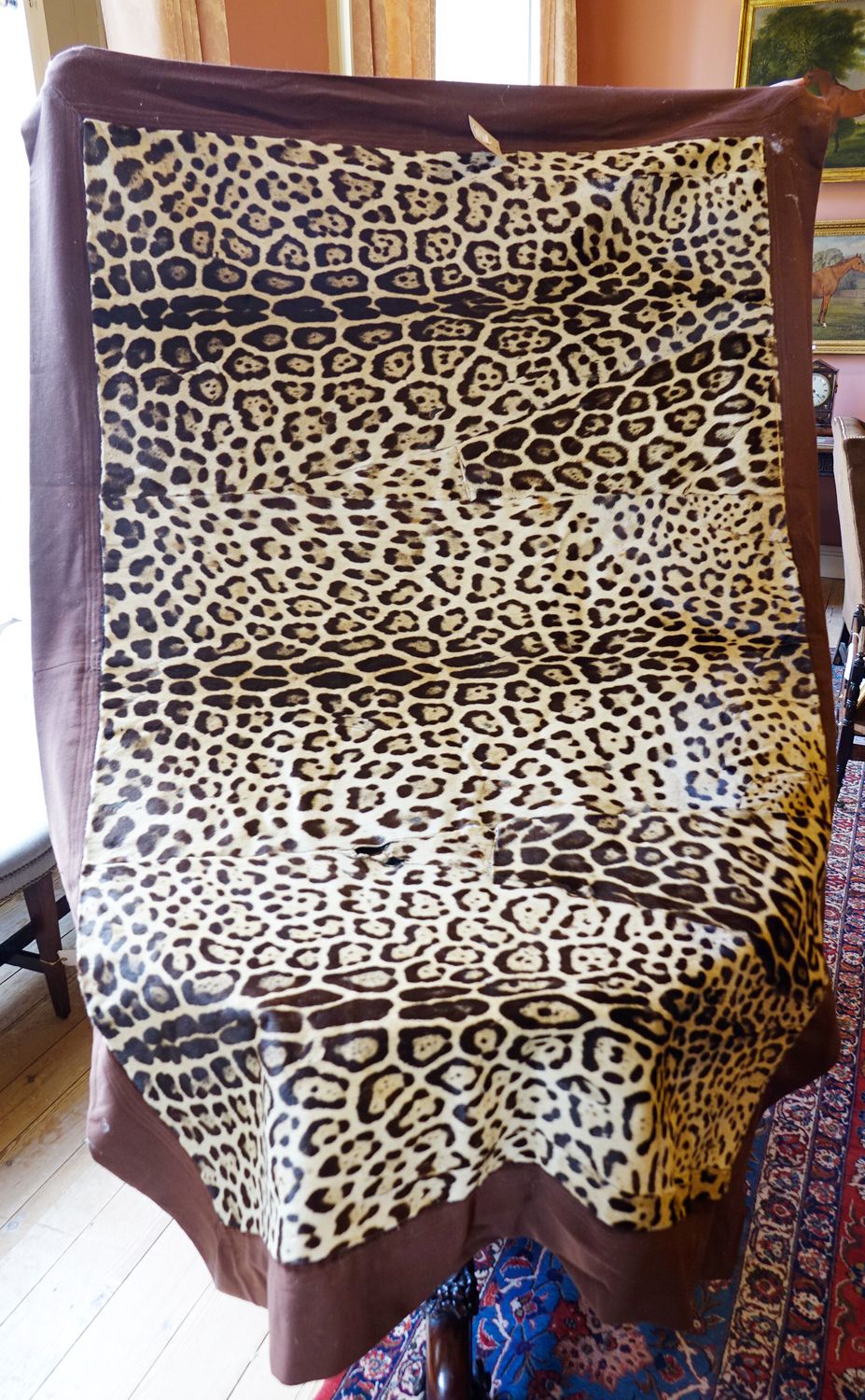 Null UN LANCIO IN PELLE DI LEOPARDO, montato su un supporto di feltro marrone, d&hellip;