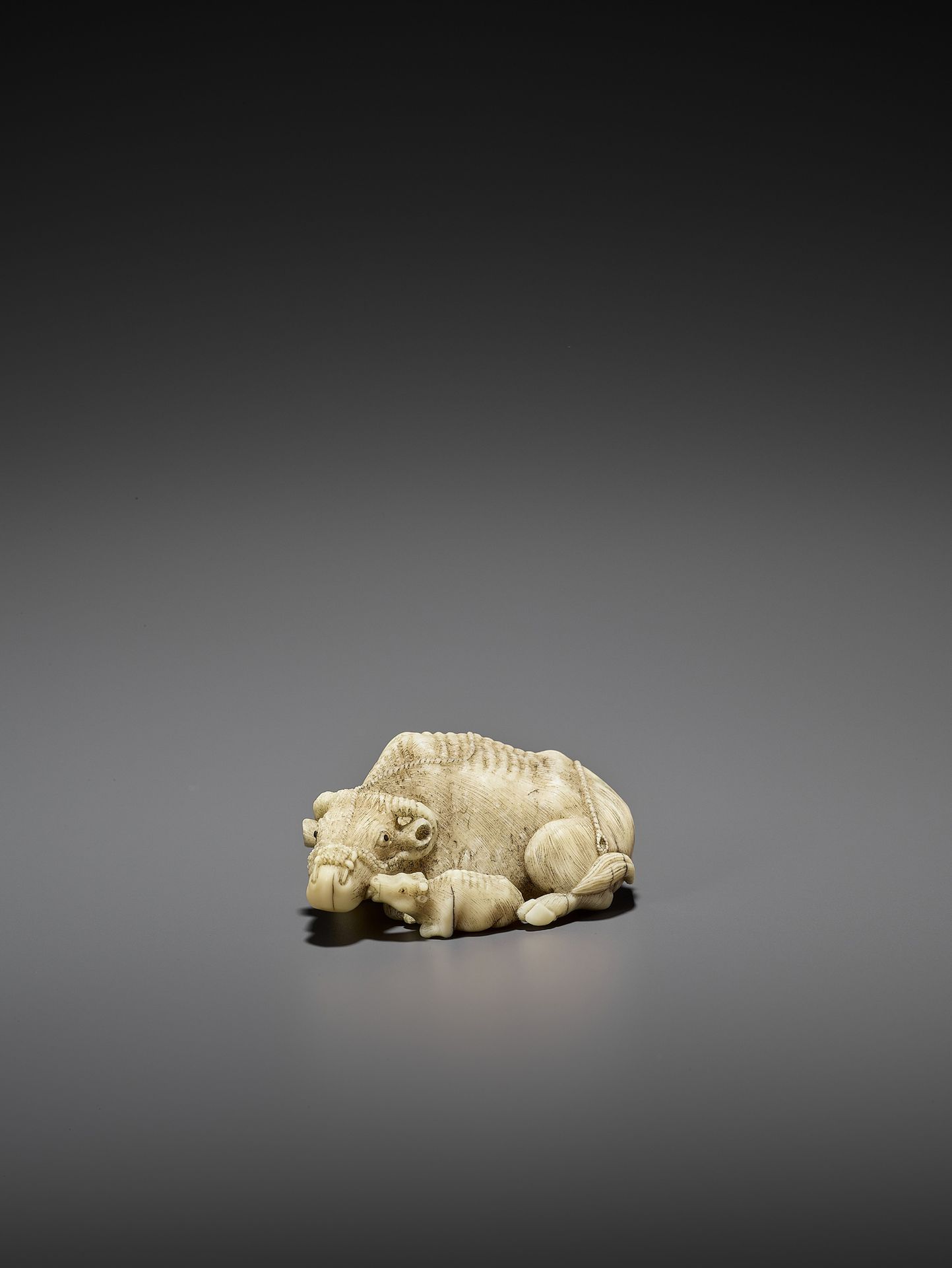 MITSUCHIKA: A LARGE AND RARE WALRUS IVORY NETSUKE OF A RECUMBENT COW WITH CALF M&hellip;