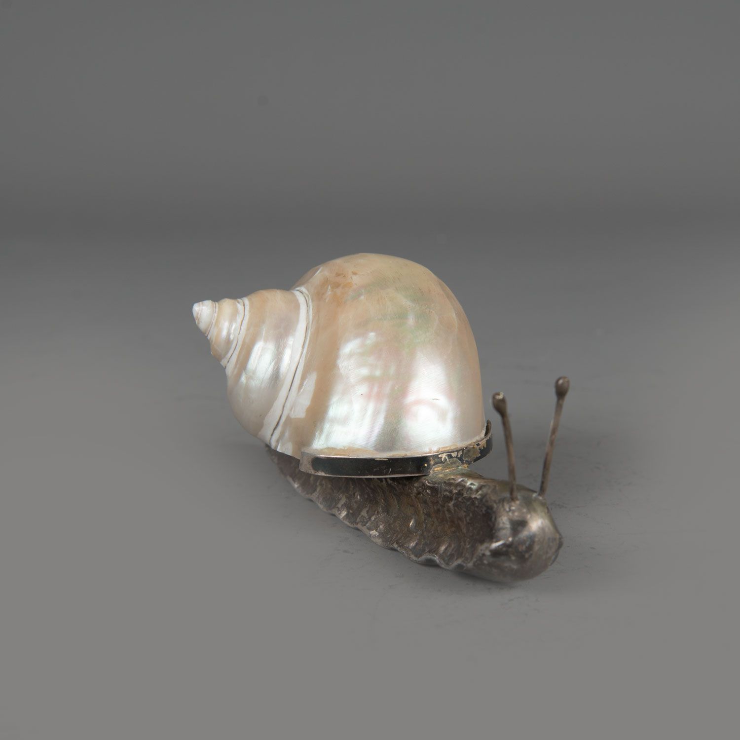 Silver snail Silberschnecke, mit original Schneckenhaus, gepunzt, 800, 140 Gramm&hellip;
