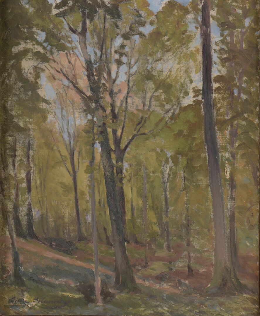 Null Pierre DELAUNAY (1870-1915)

Trémellerie wood, St Privé, at Mr

Harpignies,&hellip;