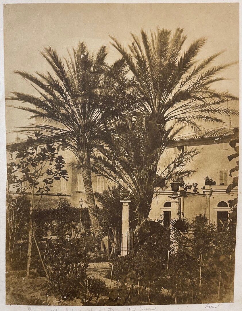 Null Giacomo Caneva (1813-1865, atttr.)

Palmiers, Jardins de Salluste, vers 185&hellip;