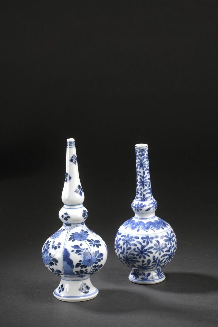 Null Deux aspersoirs en porcelaine bleu blanc


Chine, époque Kangxi, XVIIIe siè&hellip;