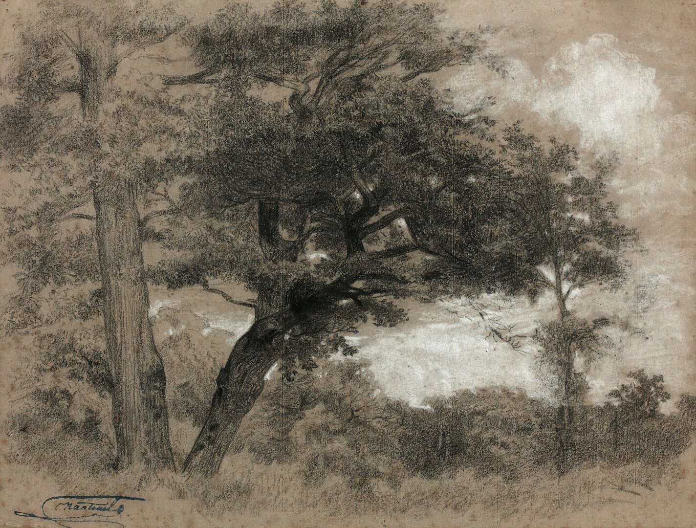 Null 塞莱斯坦-南特伊尔 (1813-1873)

枫丹白露森林中的橡树

炭笔和白色水粉的亮点。

左下角有工作室出售的印章。

22.6 x 29.7 &hellip;