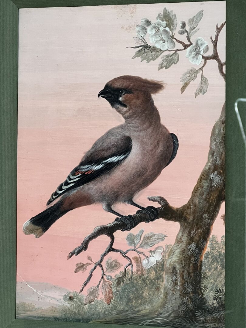 Null German school of the 18th century

Bird on its branch 

Gouache

27 x 19 cm