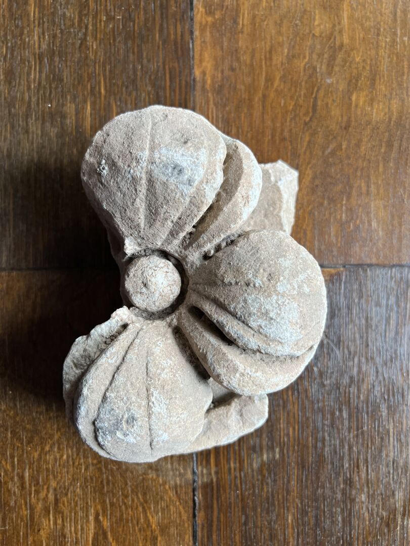 Null Fragment representing a rosette executed with a drill bit. Marble. 

Roman &hellip;