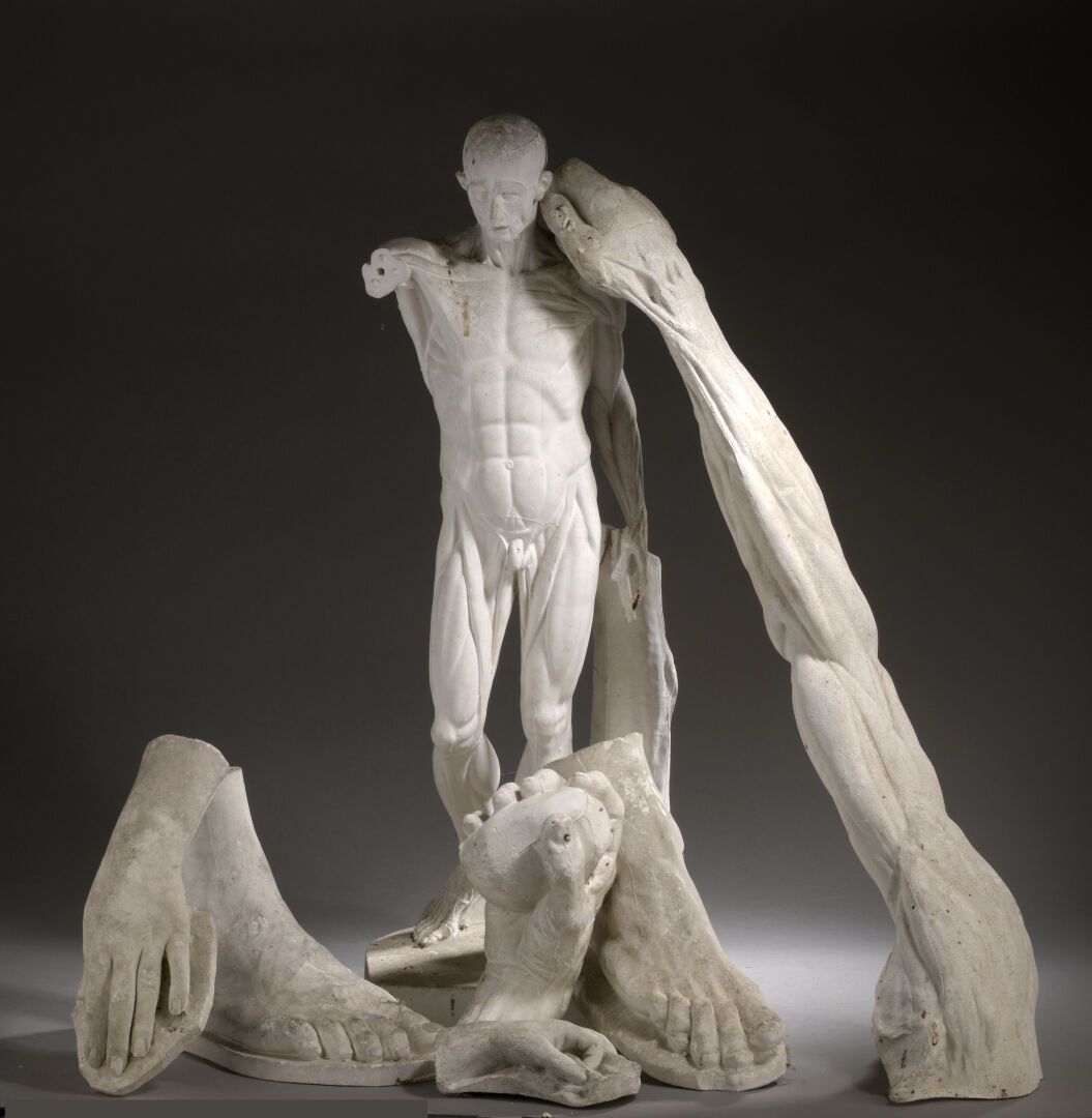 Pierre de BENGY (1825-1867), atelier de 皮埃尔-德-班吉（1825-1867），工作室

剥了皮和剥了皮的手臂在模制的石&hellip;