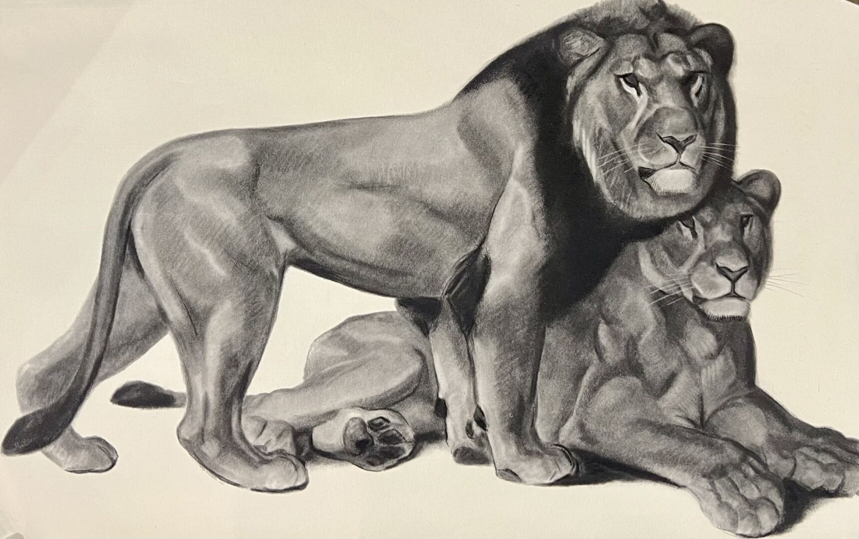 Null Georges-Lucien GUYOT (1885-1973)
Rapace, Panthère, Lion…
Six tirages sur pa&hellip;
