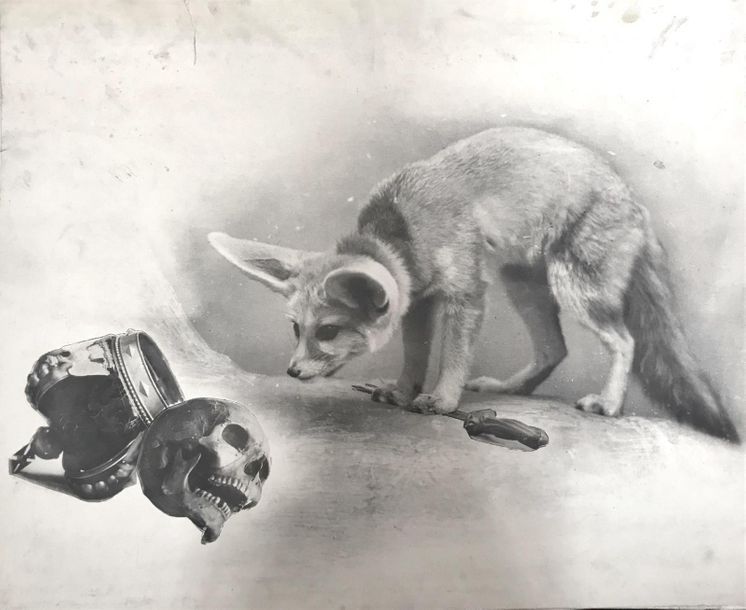 Null Otto Wegener
Le Fennec et la Mort, photomontage, allégorie
Paris, vers 1914&hellip;