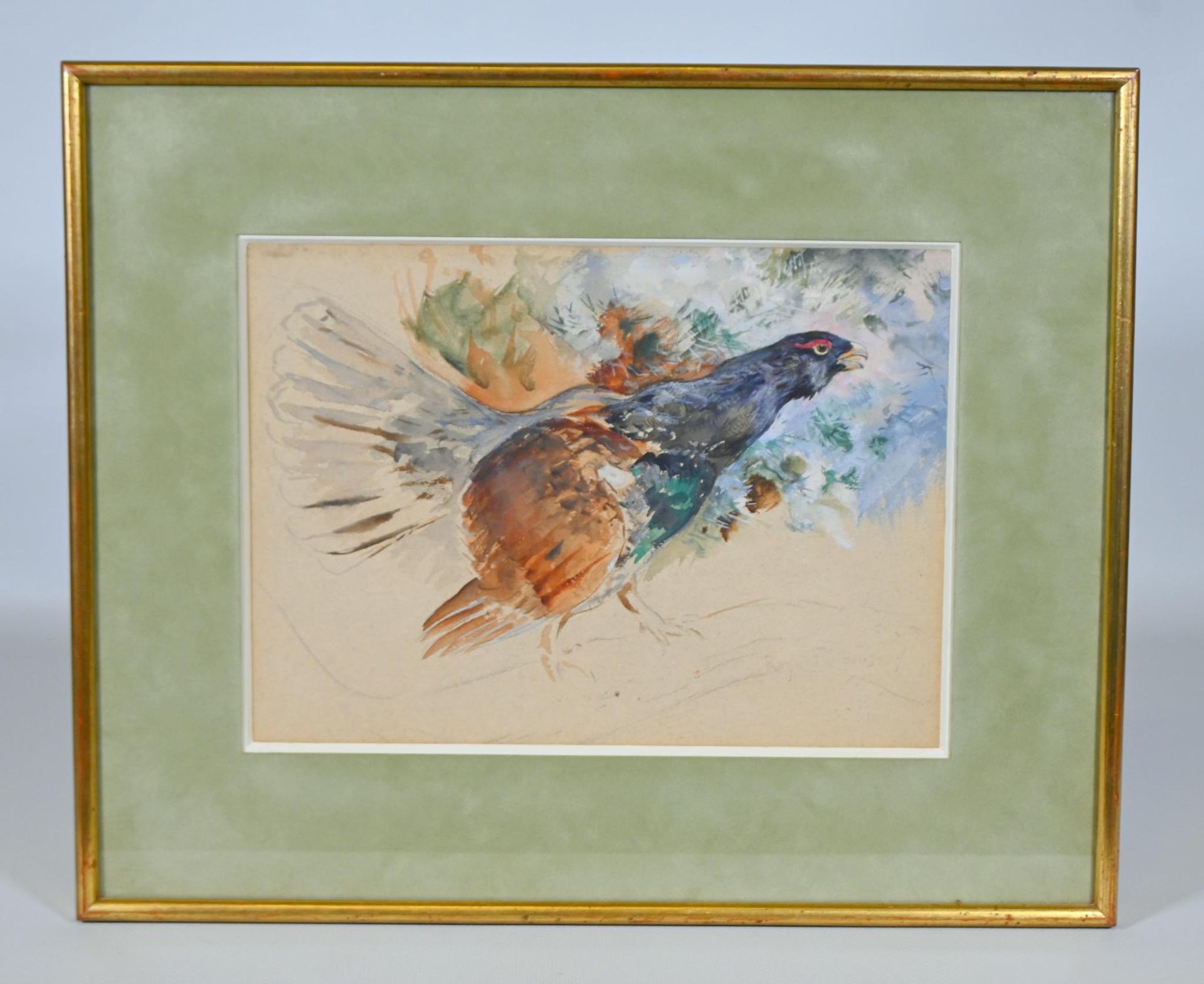 Null Roger Reboussin (1881-1965), gouache et aquarelle figurant un coq de bruyèr&hellip;