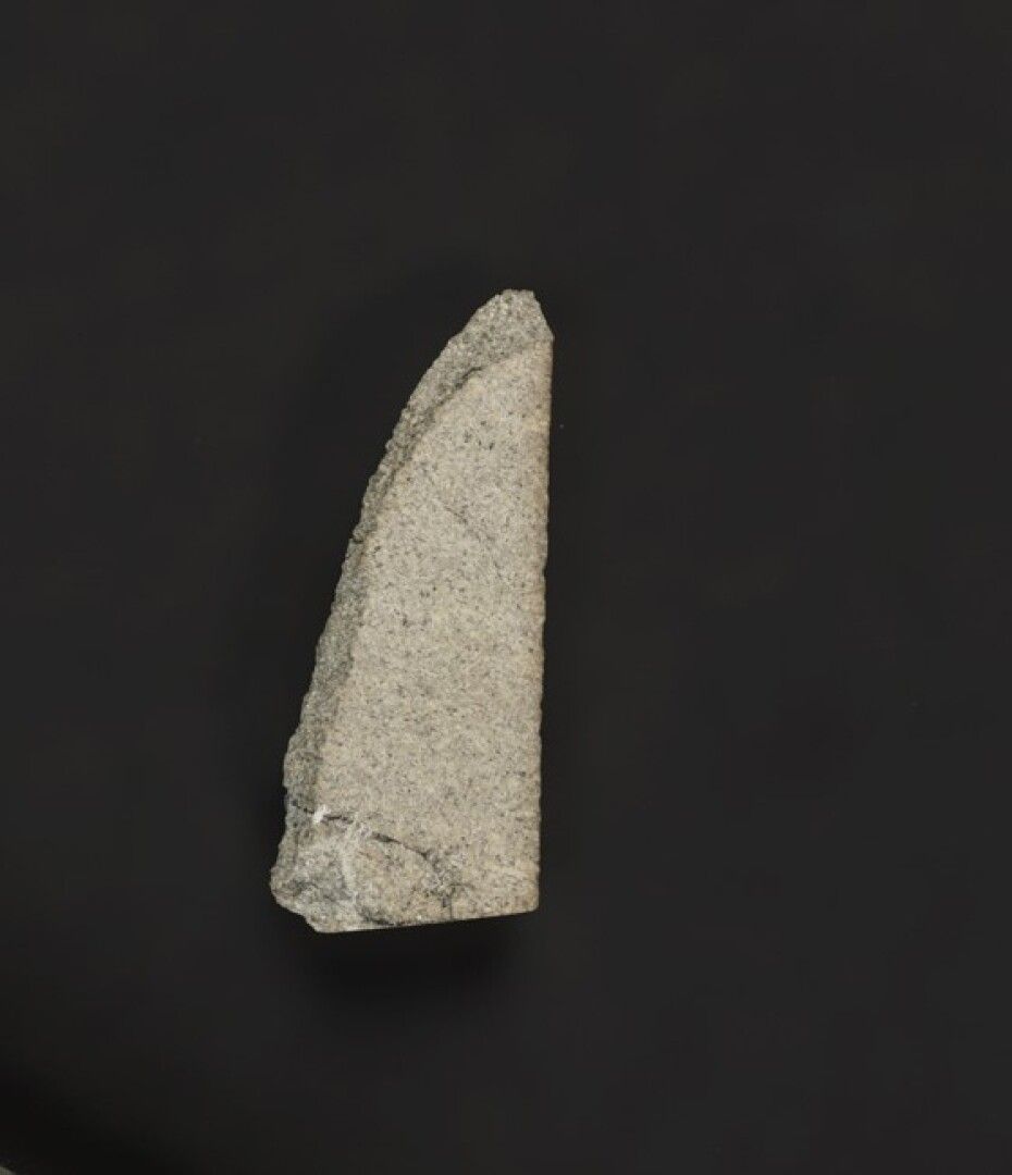 Null Il meteorite marziano "Zagami", caduto in Nigeria il 3 ottobre 1962, è il p&hellip;