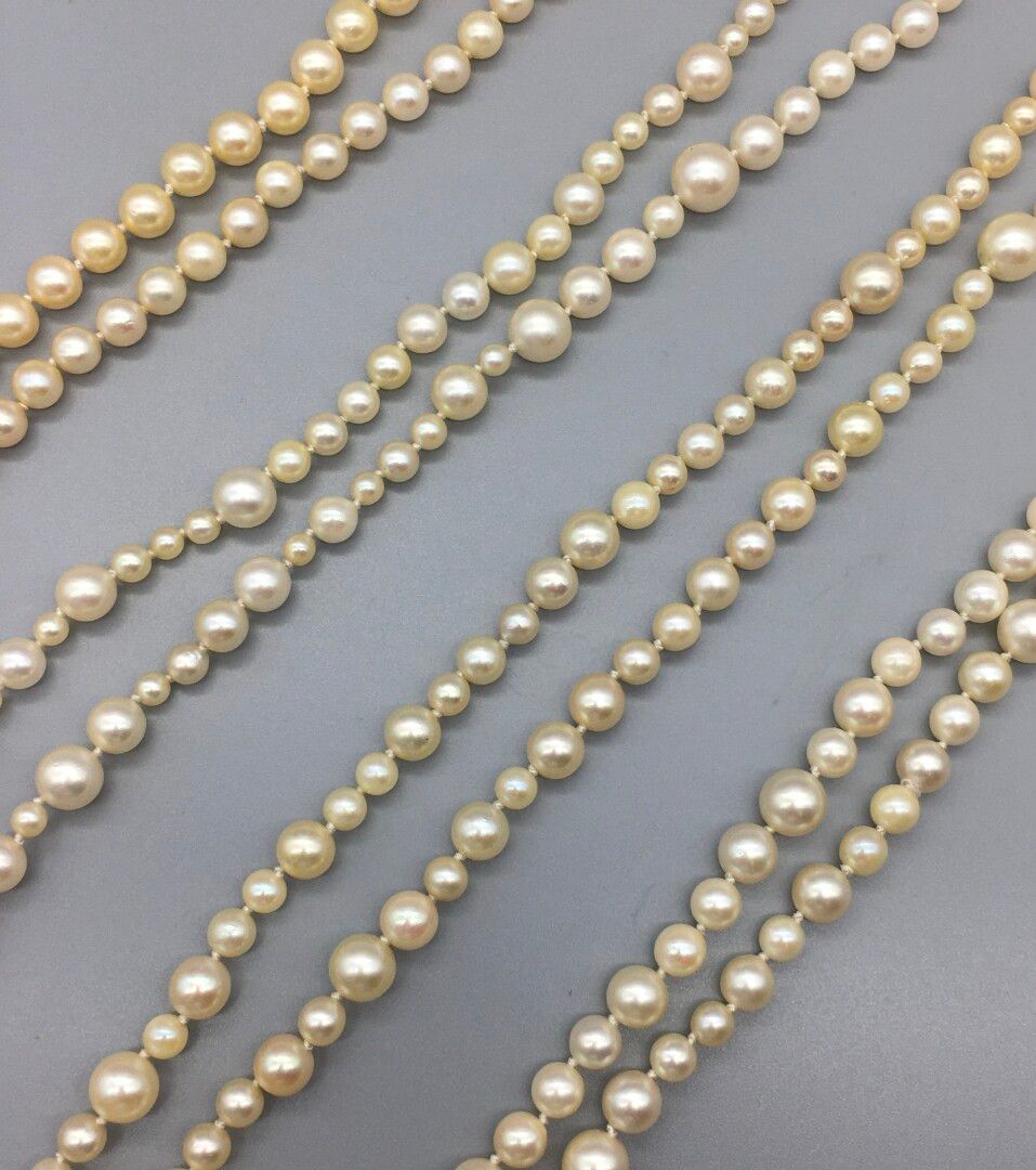 Null Lot de quatre demi-sautoirs de perles de culture enfilées sur fil, disposit&hellip;