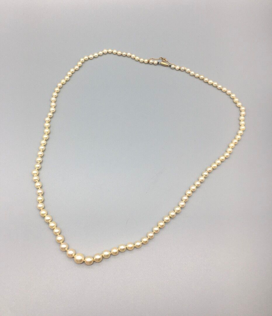 Null 养殖珍珠项链，安装在钢丝上的秋天，扣子是18K750玫瑰金的橄榄，提供一个安全链。

法国的工作。

状况良好，可预期的穿线。

珍珠的直径：从4到7&hellip;
