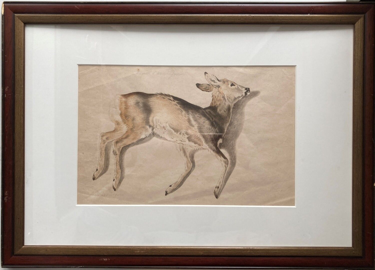 Null 19世纪的佛兰德学校

一只母鹿

黑色铅笔，棕色和灰色水洗

19,5 x 30,5 cm

左下方有古佛兰芒语的铭文