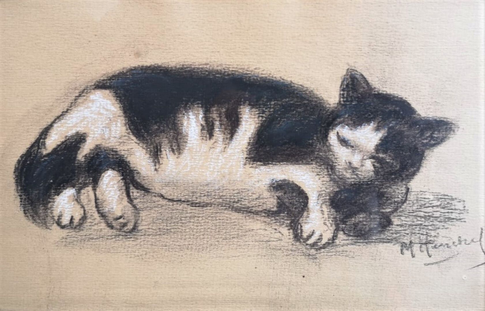 Null M. HERSCHEL (Actif au XXème siècle) 

Un chat 

Crayon noir et rehauts de b&hellip;