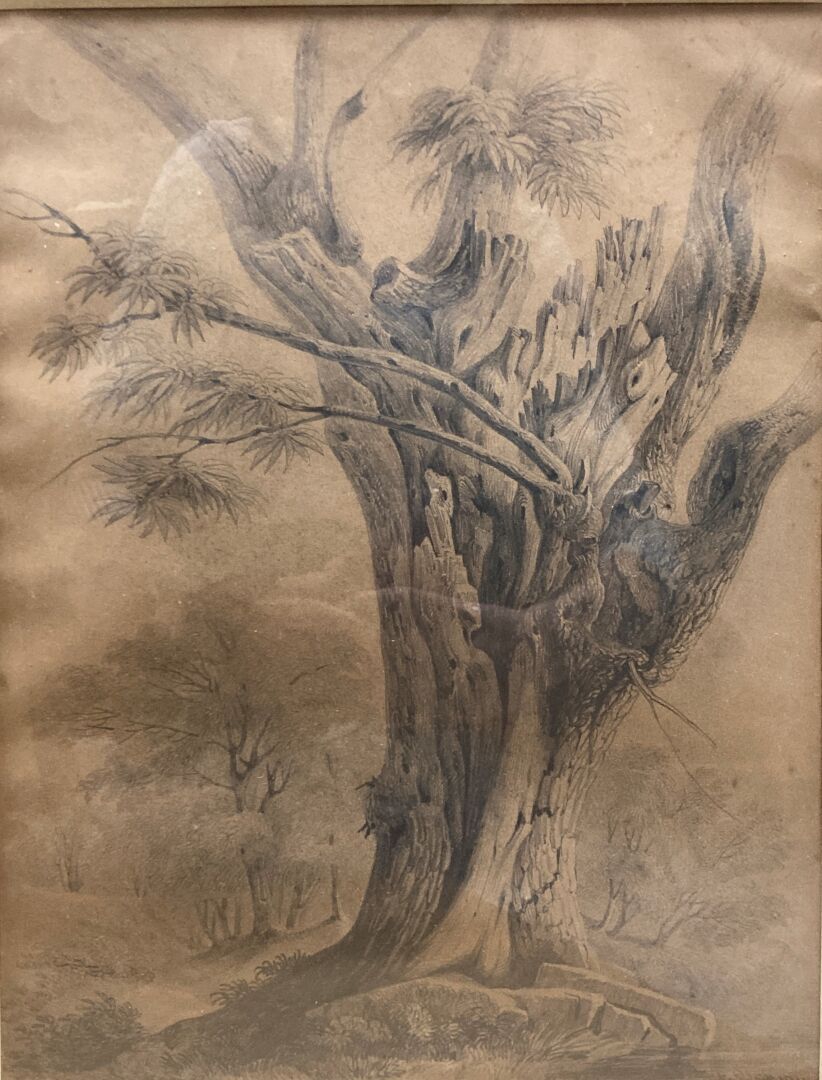 Null Escuela francesa del siglo XIX
Tronco de los árboles
Dos dibujos a lápiz, u&hellip;