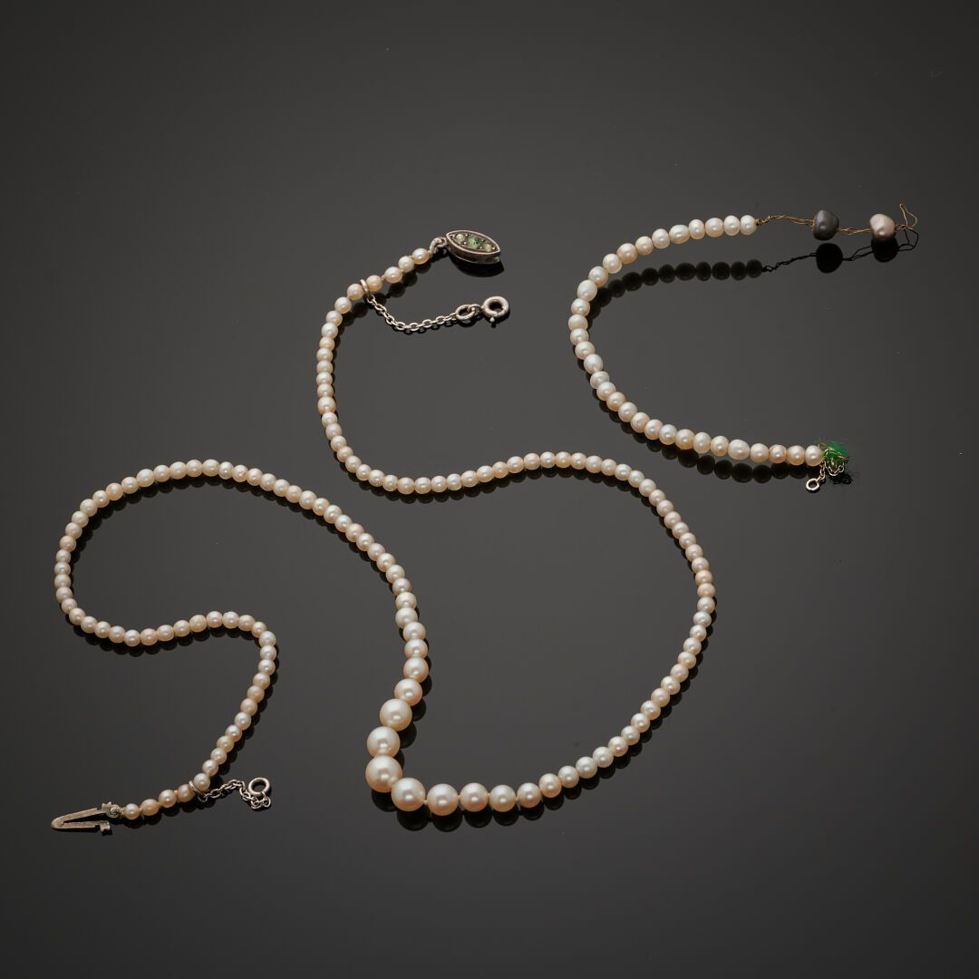 Null Collana di perle coltivate, infilate su un filo annodato, chiusura in argen&hellip;