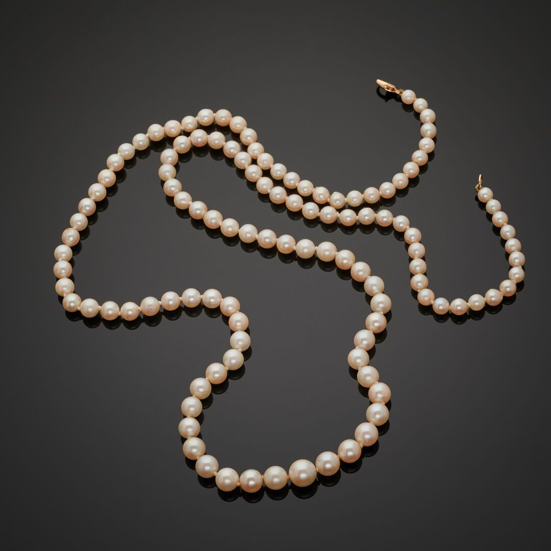 Null Necklace of cultured pearls strung on knotted wire, lobster clasp in 18K ye&hellip;