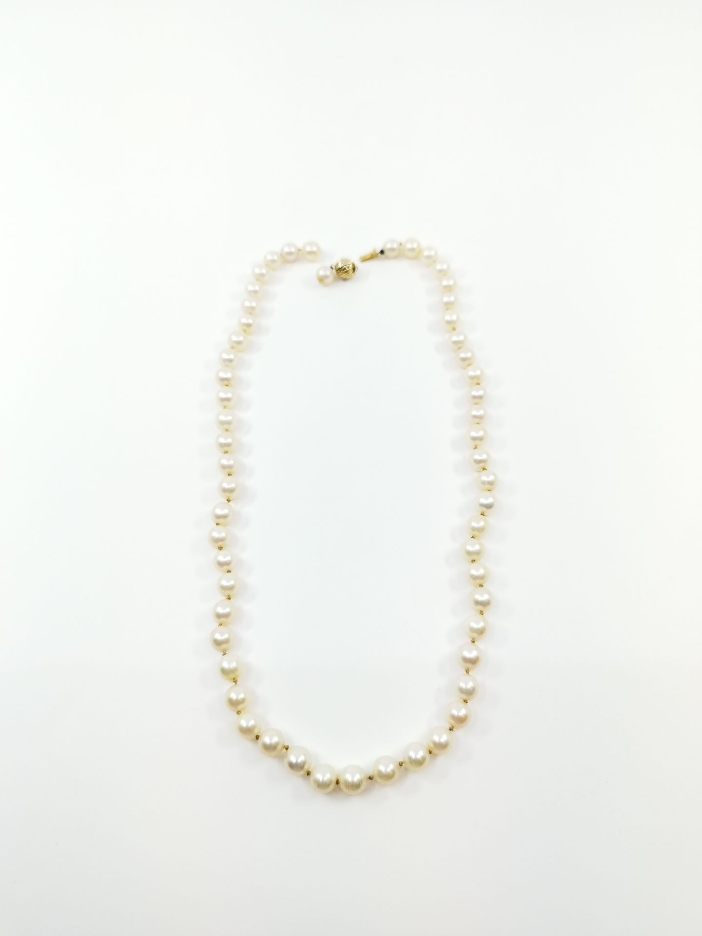Null 
NECKLACE OF 56 cultured pearls, clasp in yellow gold 750° decorated with a&hellip;