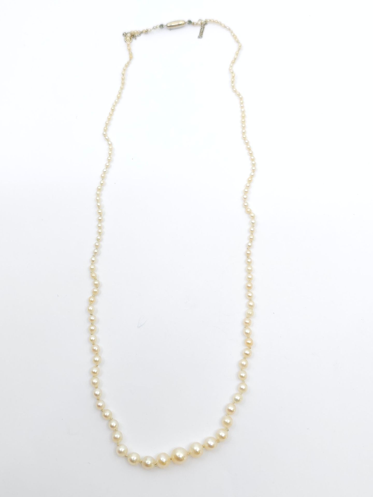 Null 项链，可能由上等珍珠制成，黄金棘轮扣，配安全链
毛重：5.5 克