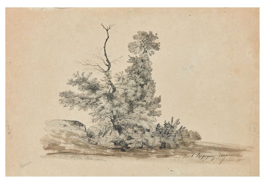 Null Henri HARPIGNIES (Valenciennes 1819-Saint-Privé 1916)

Étude d'arbres

Plum&hellip;