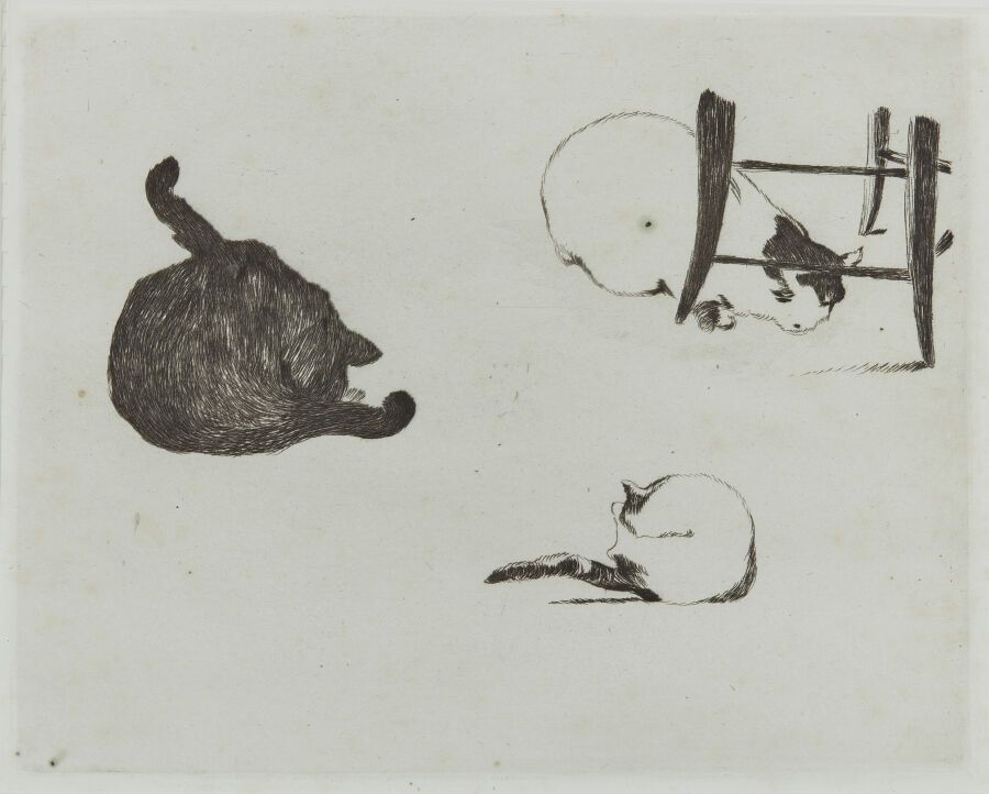 Null 爱德华-马内 (1832-1883)
猫咪们。1868.蚀刻画。220 x 175（纸张：370 x 245毫米）。Guérin 52.在旧的天蓝色铺&hellip;