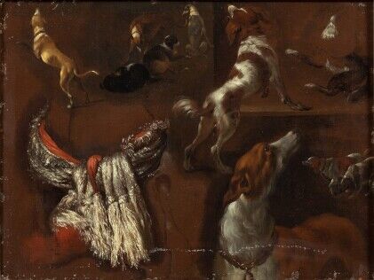 Null Attribuito a Jan WEENIX (1642-Amsterdam 1719)
Studio di un cane e di una sc&hellip;