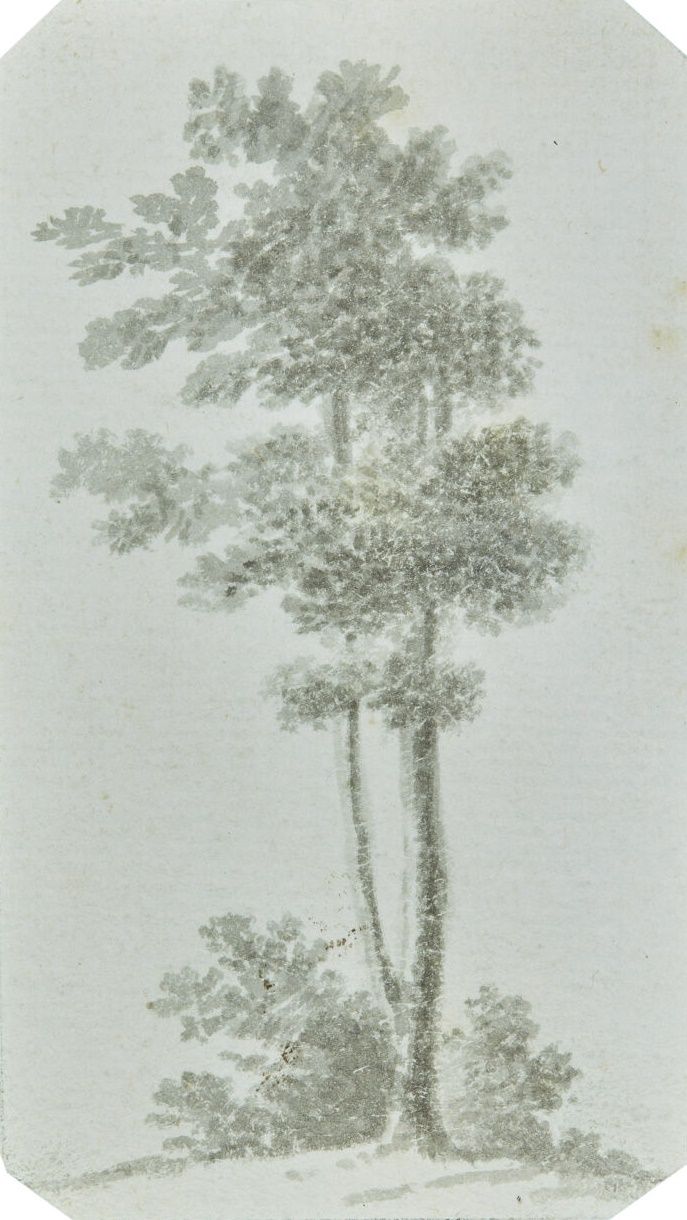 Null Aurore DUPIN genannt George SAND (1804-1876).
Ein Baum
Zeichnung mit Lavier&hellip;