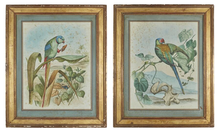 Null 19世纪的荷兰学校 
风景中的鹦鹉，一对
钢笔和棕色墨水，水彩画
(小雀斑。)
高45.5厘米；宽度：35厘米 

专家：拜舍内阁