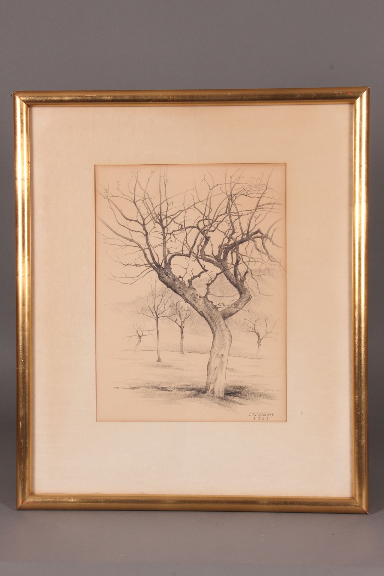 Joseph VERHAEGHE. «Étude d’arbre. 1961» Crayon, 39 x 29. Signée et datée en bas &hellip;