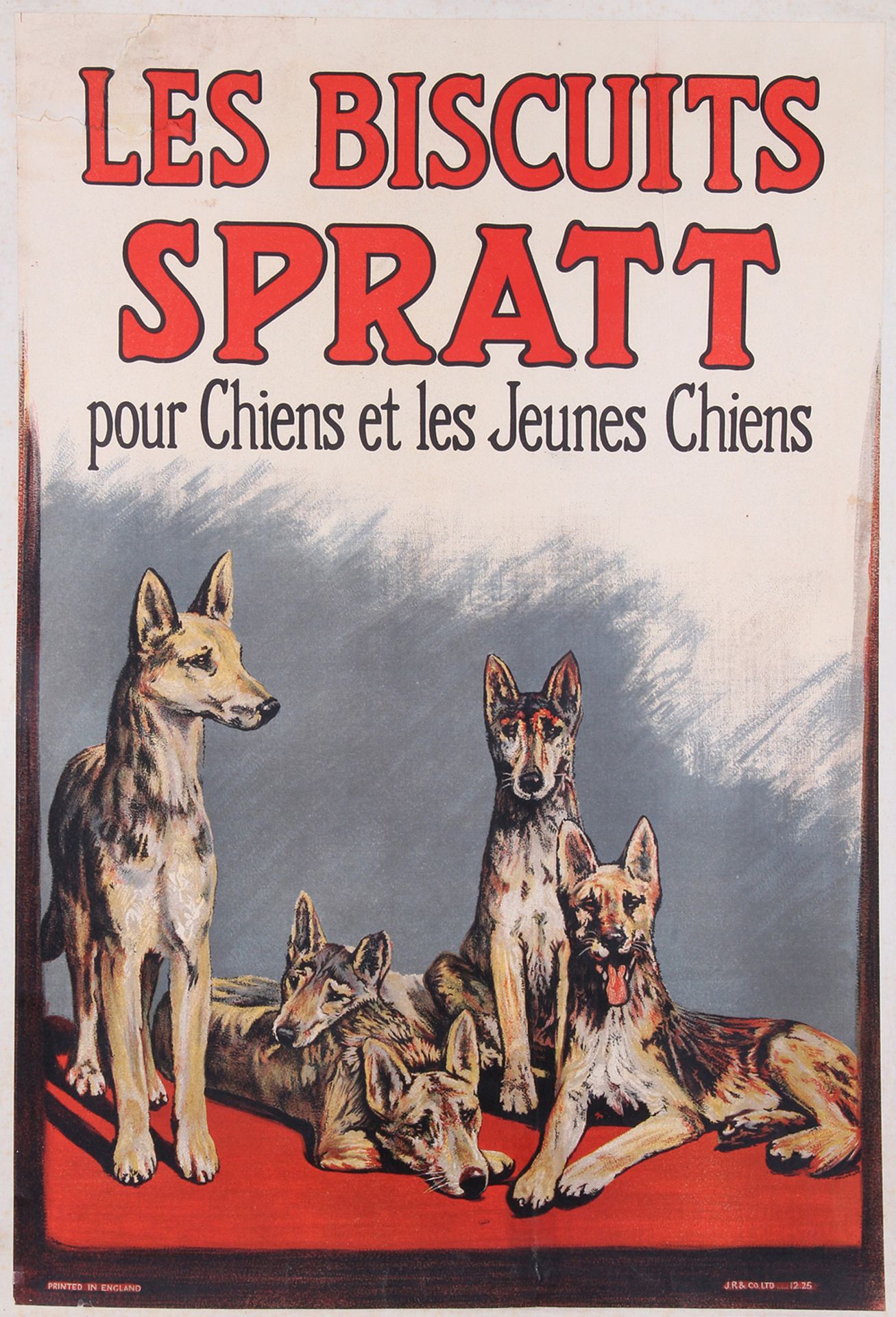 [AFFICHE]. «Les Biscuits Spratt. Pour chiens et les jeunes chiens» J. R. & Co li&hellip;